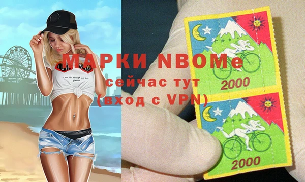 стафф Козловка