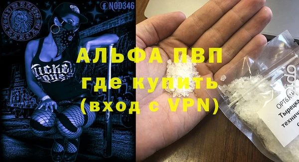 стафф Козловка