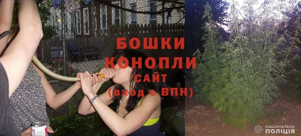 Альфа ПВП Корсаков