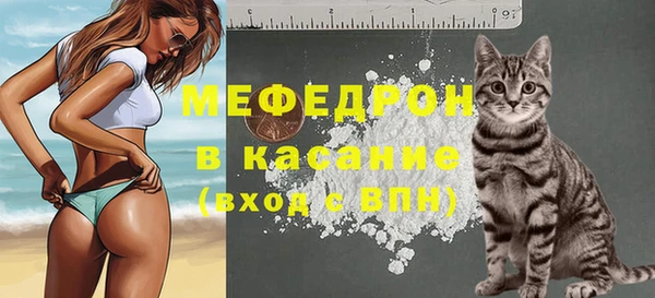 стафф Козловка