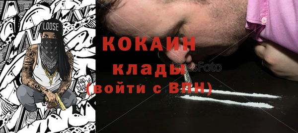 стаф Коряжма