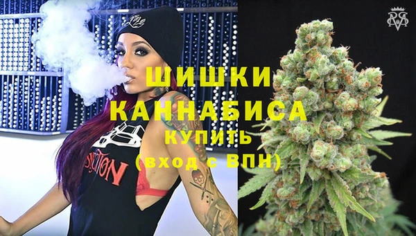 стаф Коряжма
